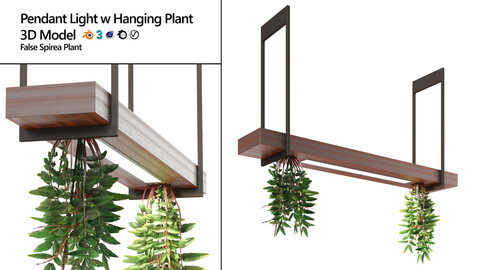 Pendant light with FalseSpirea hanging plant