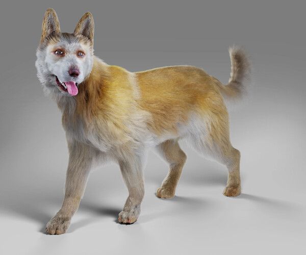 ArtStation Fur Big Dog Yellow Rigged Game Assets