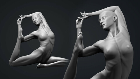 Anatomy Study Yoga Pose Mermaid 3D Print Model
