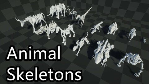 3D Model - Animal Skeletons