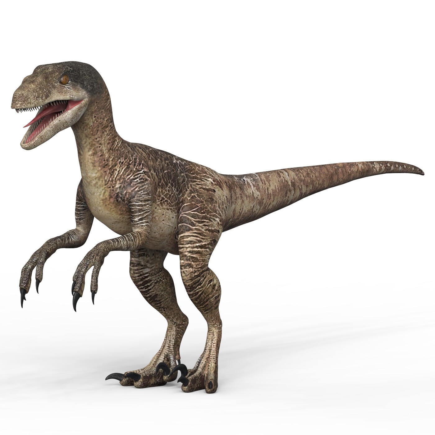 ArtStation - Velociraptor Dinosaur 3D Model | Resources