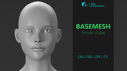 Basemesh Female Shape