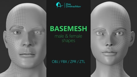 Basemesh Male and Female Shapes