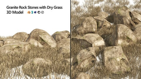 Granite Rock Stones with Dry Grass Terrain