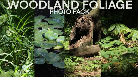 Woodland Foliage Photo Pack