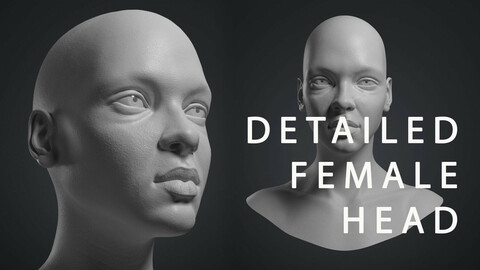 Female Bust Statue 220527 3D print model