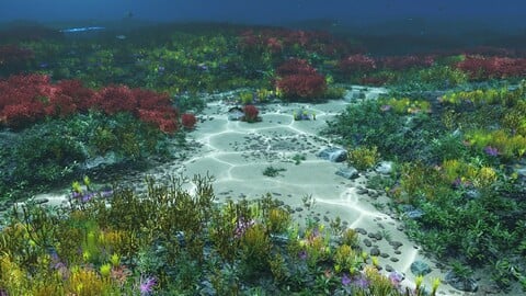 Underwater seabed