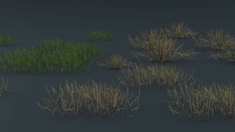 Grass | (Photorealistic grass) | Free Download | Textured file