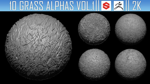 10 Grass Alphas Vol.1 (ZBRush, Substance, 2K)