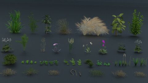 Grass pack 1.1 | Realistic Textured File | Download Now | 3D Models |