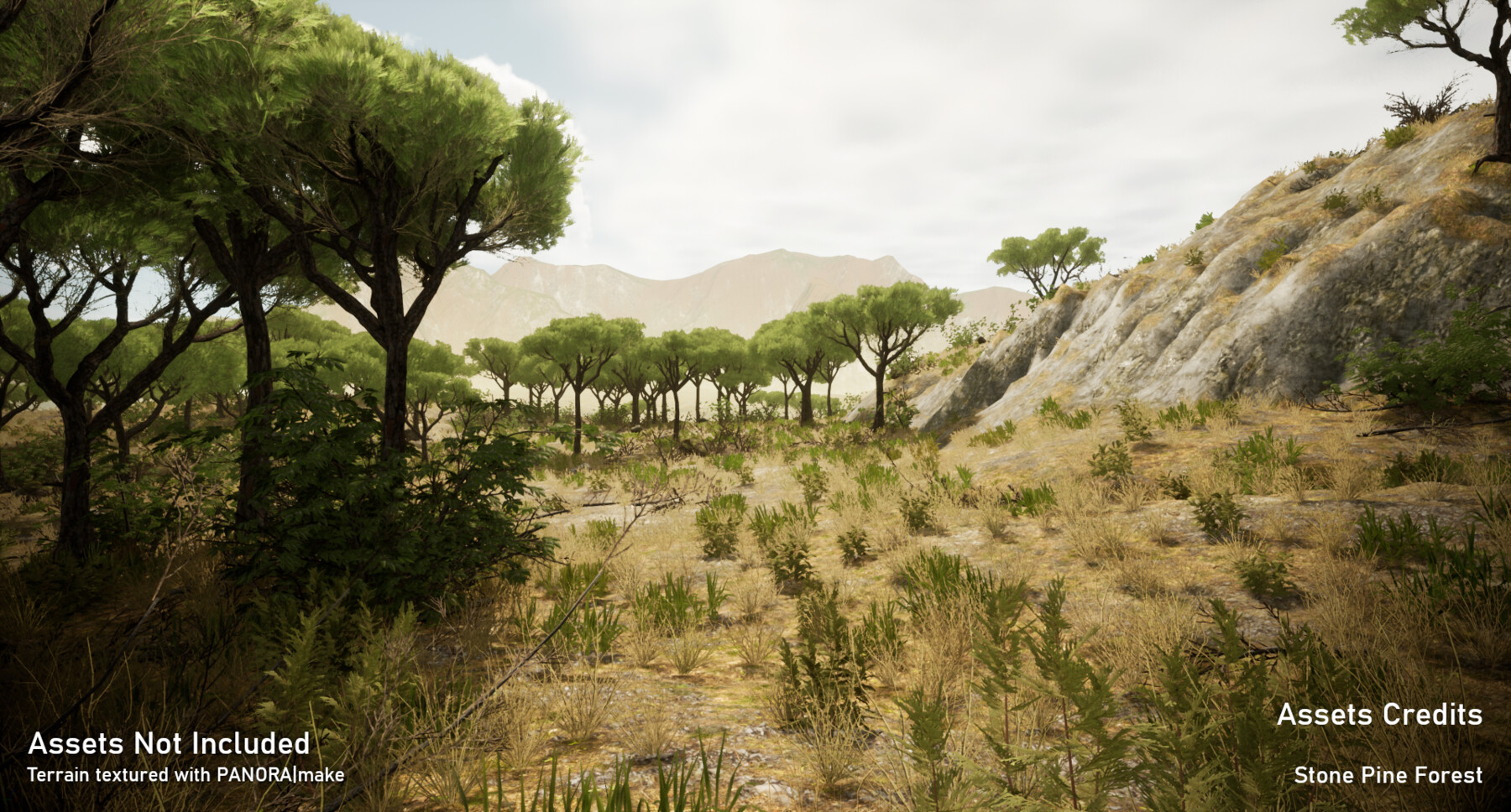 ArtStation - PANORAmake - Complete & Accessible AAA-Grade Landscape