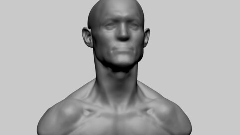 Base Male Head B