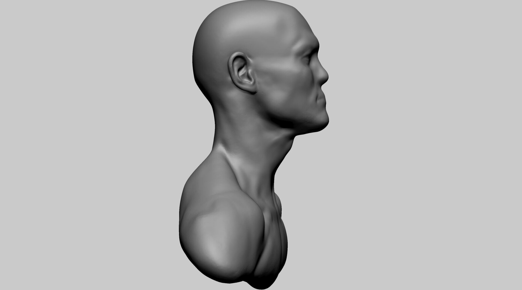 ArtStation - Base Male Head B | Resources