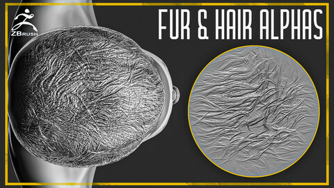 20 Fur and Hair Alphas for ZBrush