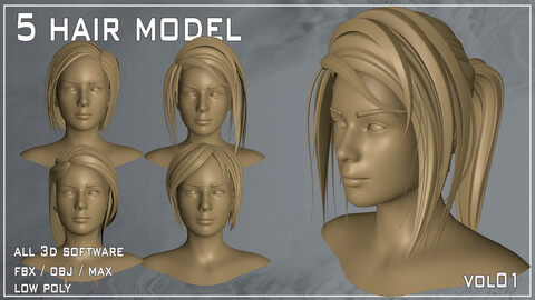 5 Hair Model - VOL 01 (All 3D Software)