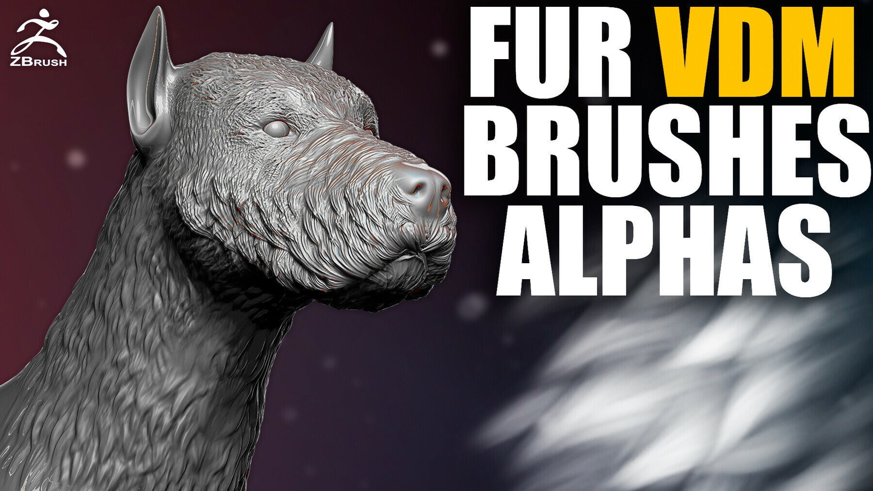 Fur VDM Brush and Alphas for ZBrush preview
