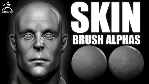 Skin Brush and Alphas for ZBrush