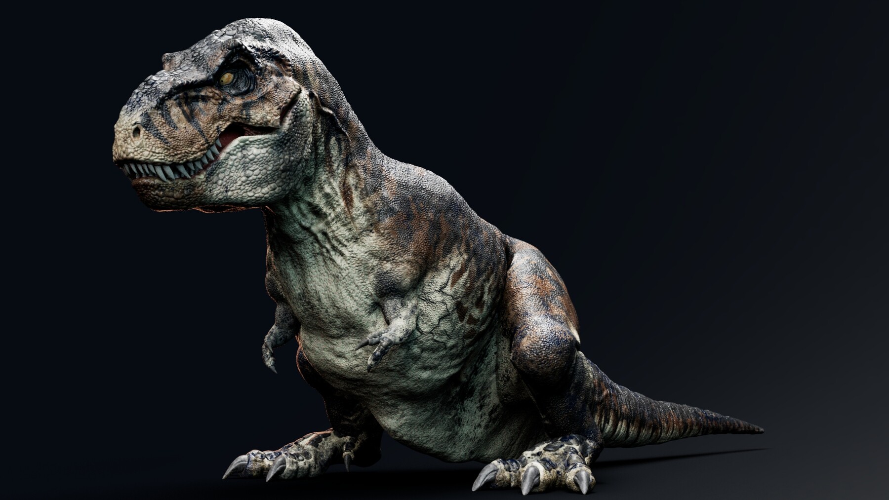 3D model Tyrannosaurus Rex Sue Real Dinosaur Series VR / AR / low-poly