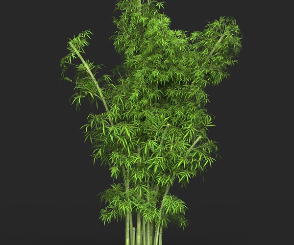 ArtStation - Realistic Game Ready Bamboo Tree 16 | Resources