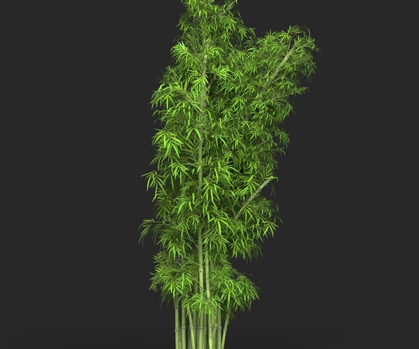 ArtStation - Bamboo Tree Collection | Resources