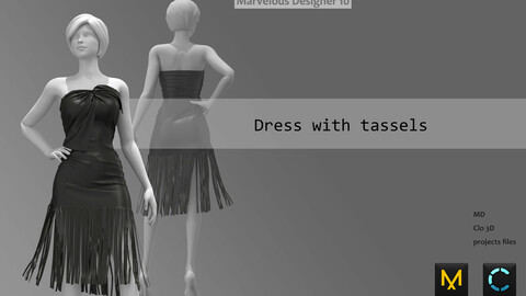 Fancy dress__Marvelous designer(Clo3d) project_OBJ&FBX