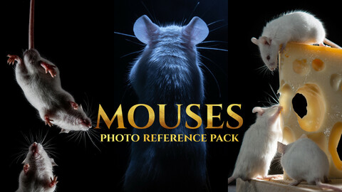 Mice -Photo Reference Pack For Artists 357 JPEGs