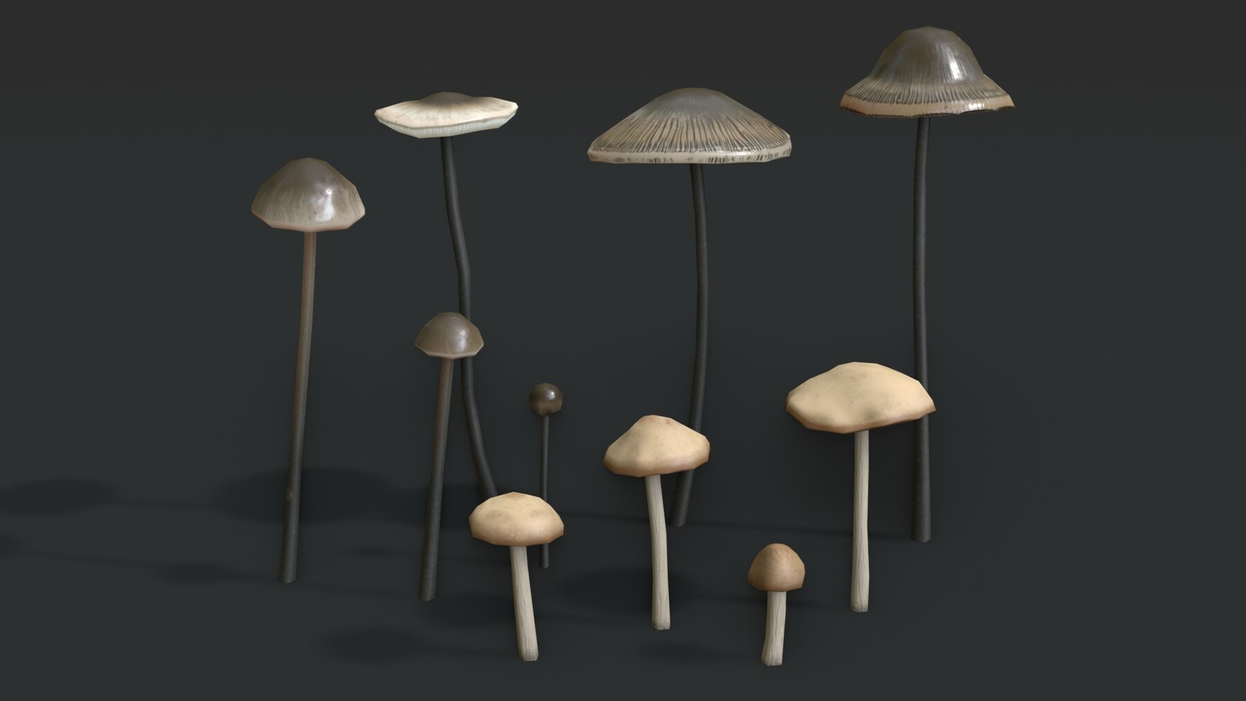 Fairy ring mushroom : 1 105 images, photos de stock, objets 3D et images  vectorielles