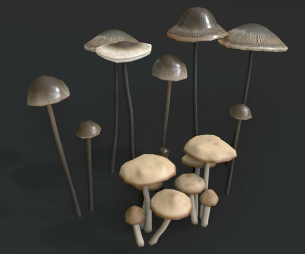 Fairy ring mushroom : 1 105 images, photos de stock, objets 3D et images  vectorielles