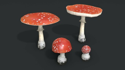 Fly Amanita Set