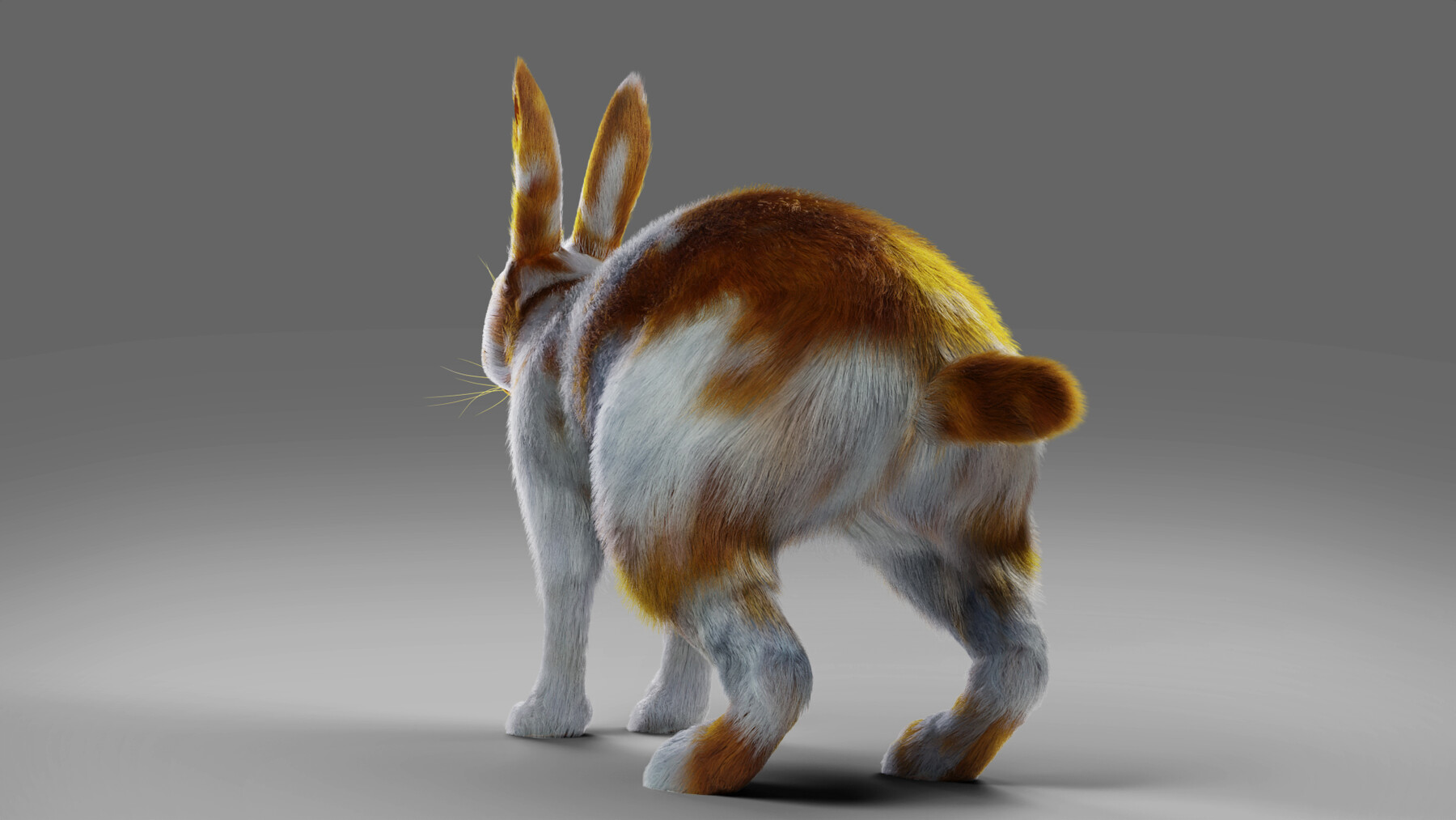 ArtStation - Fur Rabbit Gray V03 Rigged and Animation | Game Assets