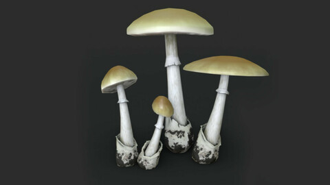 Death Cap Mushroom Set