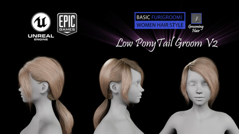 Low PonyTail Groom V2 UE