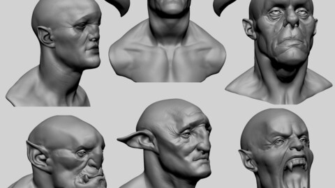 Creature Head Models for Reference