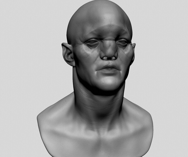 ArtStation - Creature Head Models for Reference | Resources