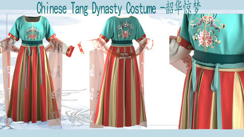 Chinese Tang Dynasty Traditional Clothing——韶华惊梦