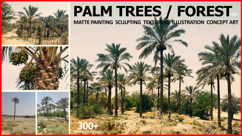 300+ PALM TREES / FOREST REFRENCE PICTURES