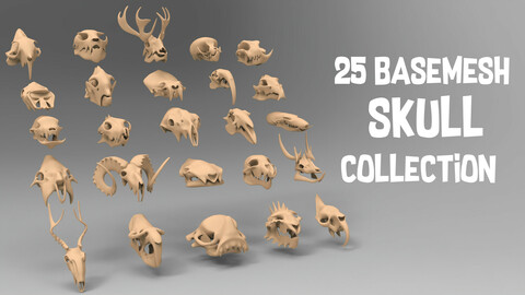 25 basemesh skull collection