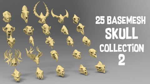 25 basemesh skull collection 2