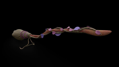 Stylized Broom