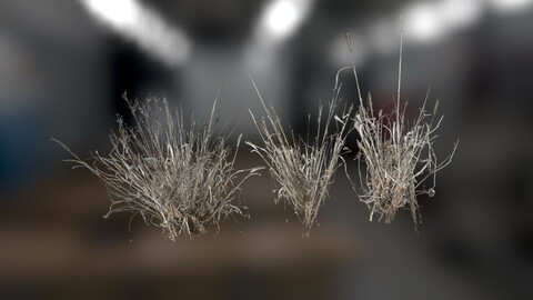 Photo Realistic Dry Grass