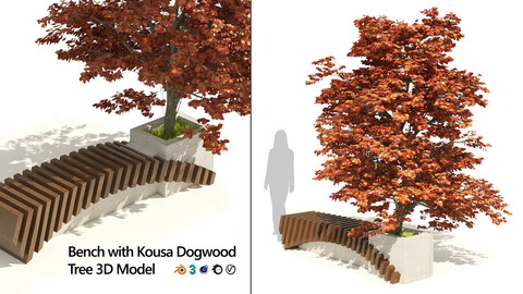 Bench with Kousa Dogwood Tree