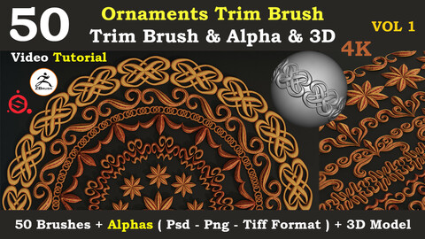 50 ornaments Trim Brush +3D models (vol1)
