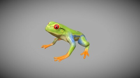 ArtStation - Tree frog | Game Assets