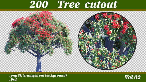 tree cutout png 4k & psd vol02