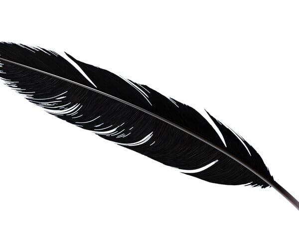 ArtStation - Crow Feather | Resources