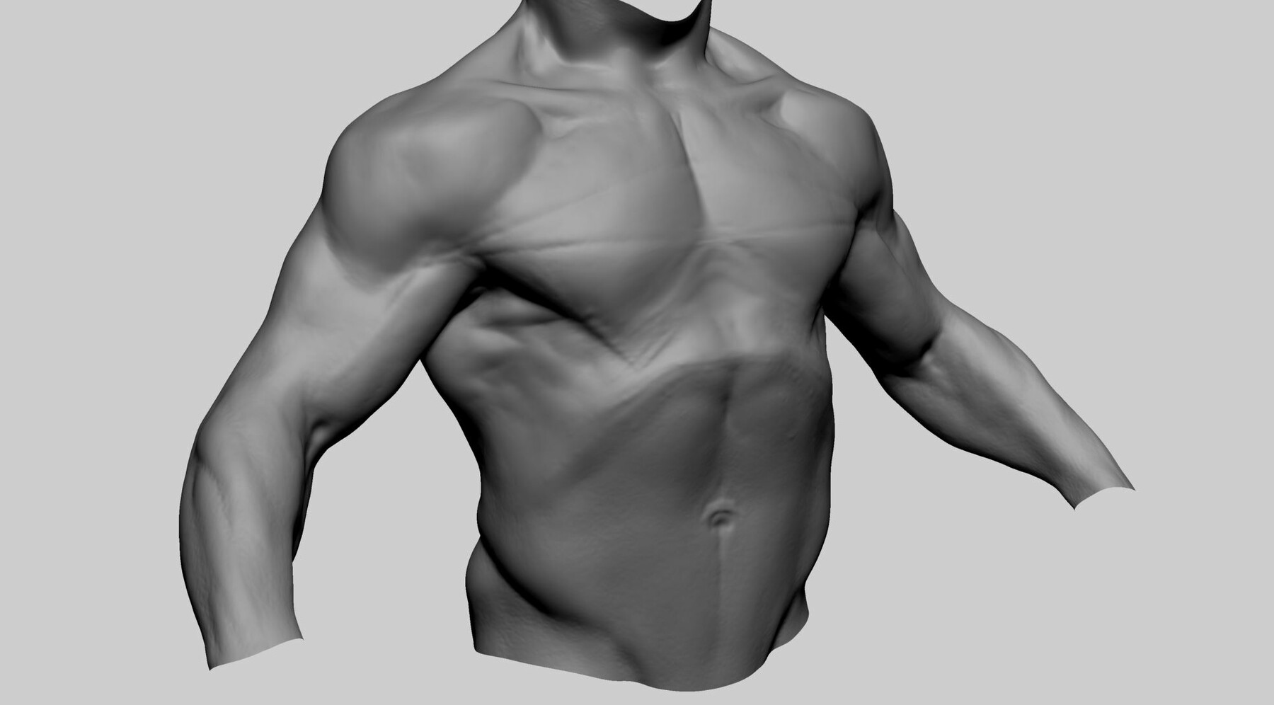 ArtStation - Male Torso B | Resources