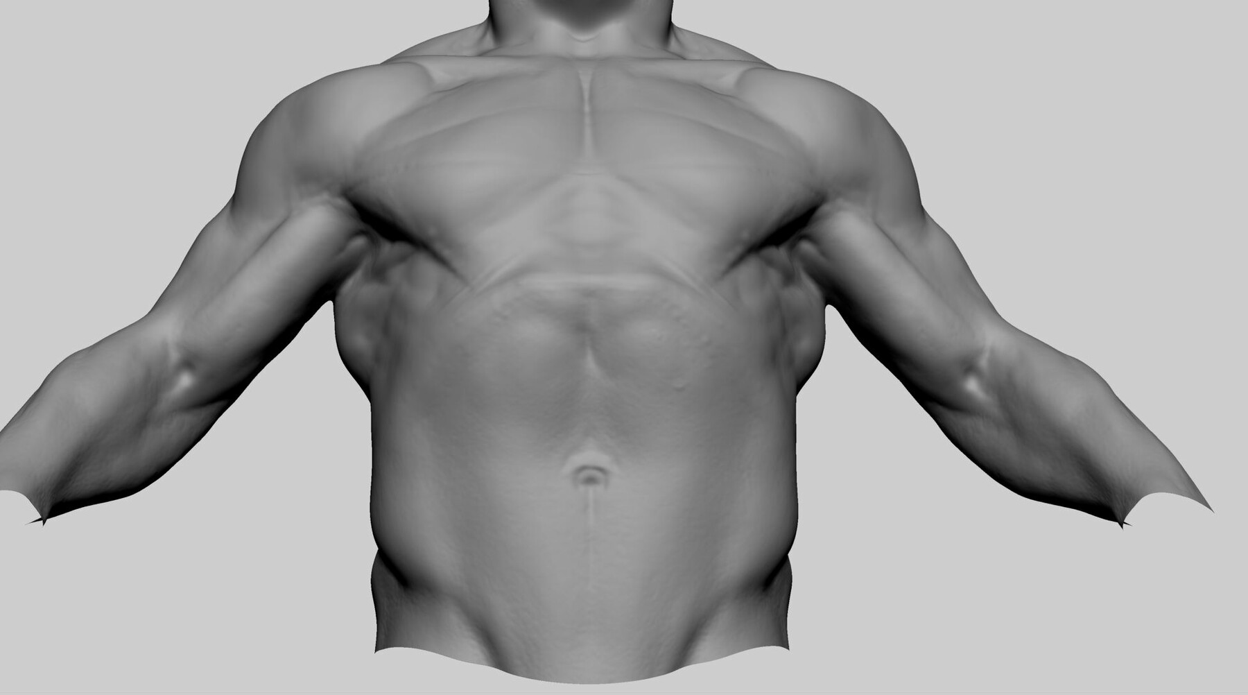 ArtStation - Male Torso B | Resources