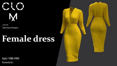 Female dress / Marvelous Designer/Clo3D project file + OBJ