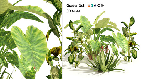 Garden set of tropical plants