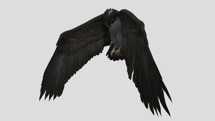 ArtStation - EaglePro1-Hunt 03 | Game Assets